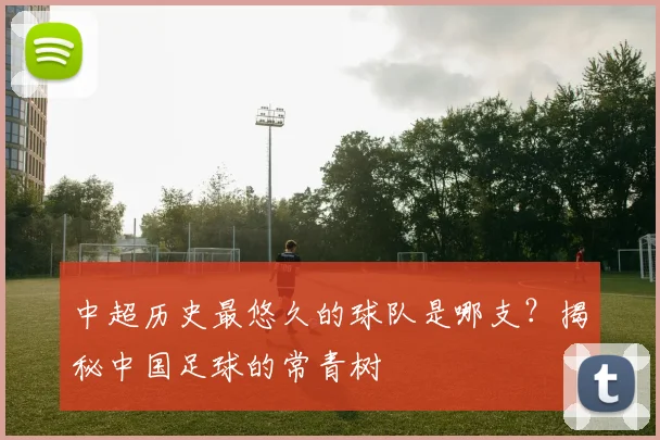 中超历史最悠久的球队是哪支？揭秘中国足球的常青树